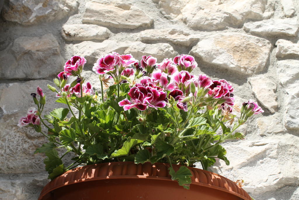 Casa Vacanze Caccamo Santa Lucia Kültér fotó